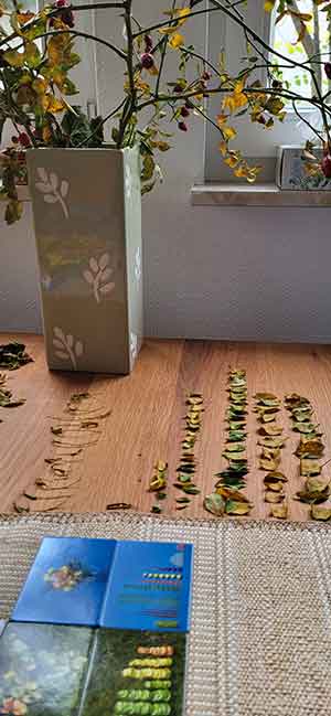 Berlin Pankow - Galerie & Praxis - XIV